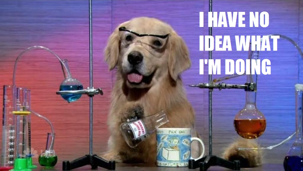 I have no idea what I am doing!