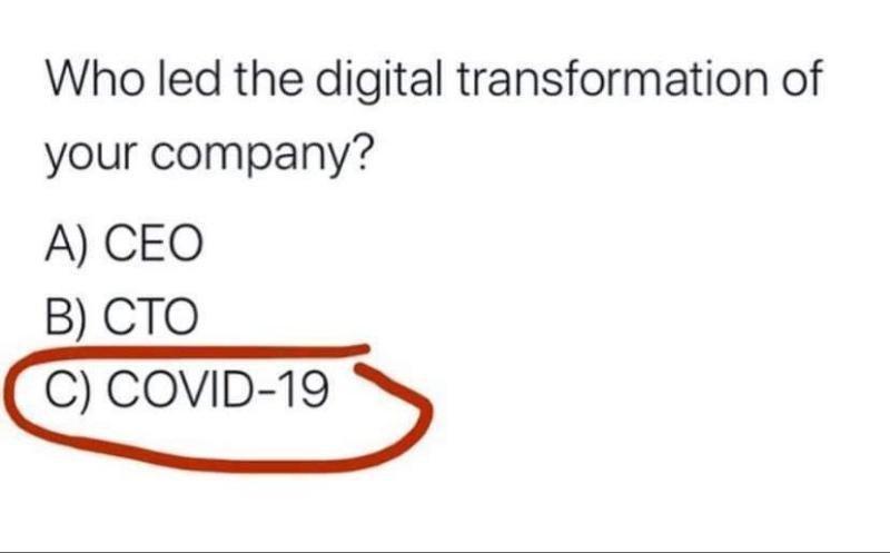 Who led the digital transformation?